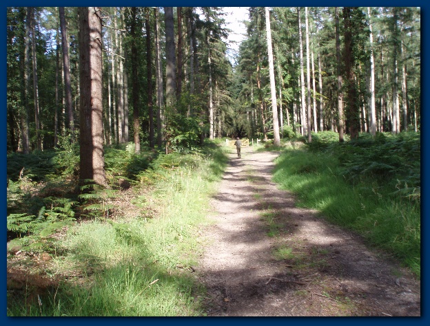 600x449 pixels (188K)